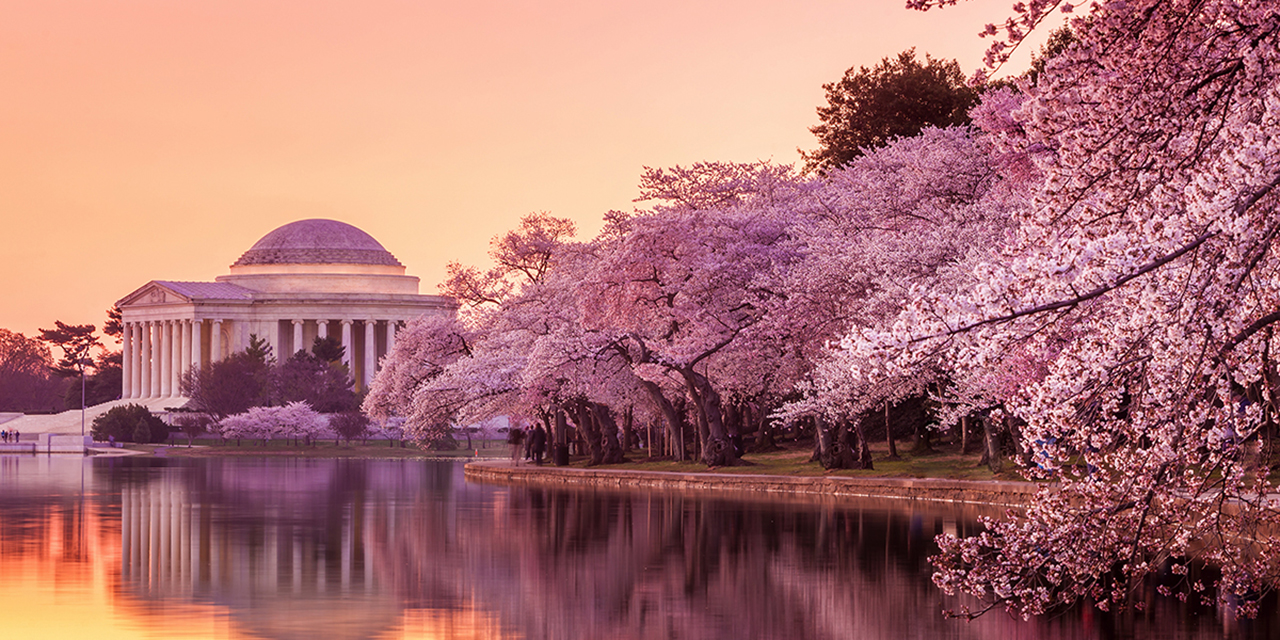 Reflection of a building on a body of water.